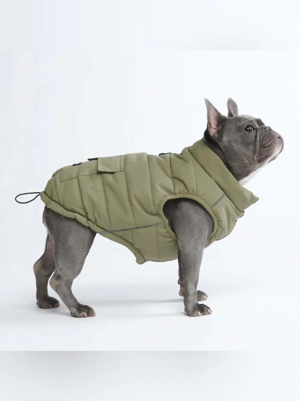 BRAND NEW ✨SPARK PAWS✨ WarmShield Water-Resistant Jackets XL